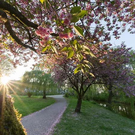 מלון Dh -deutsches Haus- 3*