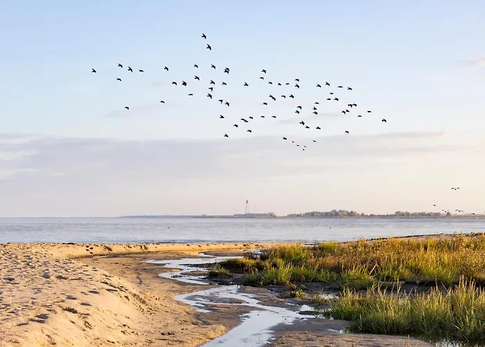 Dh -deutsches Haus- 3*